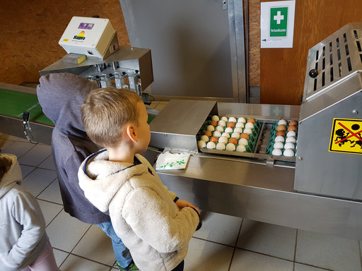 Besuch im Hühnerstall