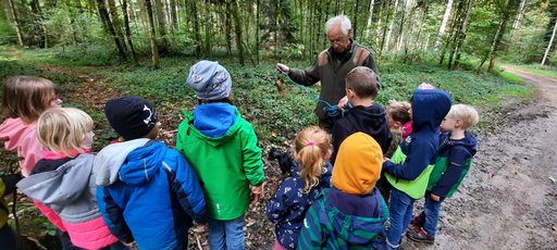 Wildhüter im Lindwald