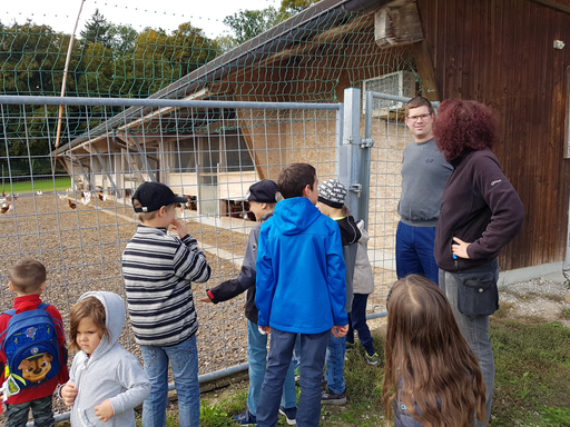 Besuch im Hühnerstall